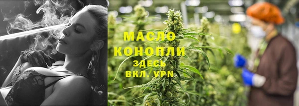 прущие грибы Магадан