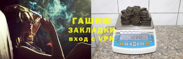прущие грибы Магадан