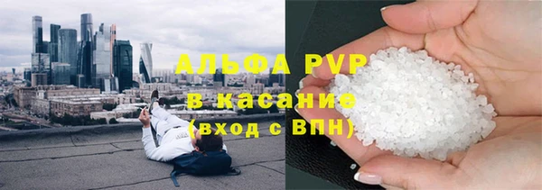 шишки Майский