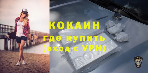 прущие грибы Магадан