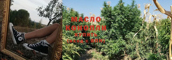 прущие грибы Магадан