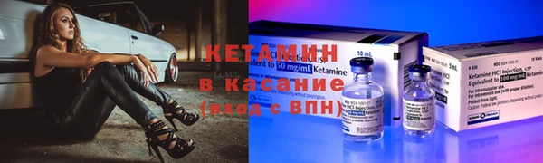 шишки Майский