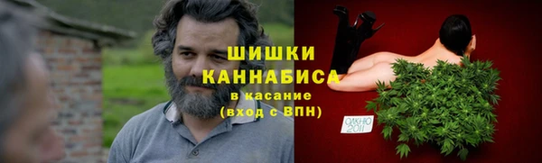 сатива Магас