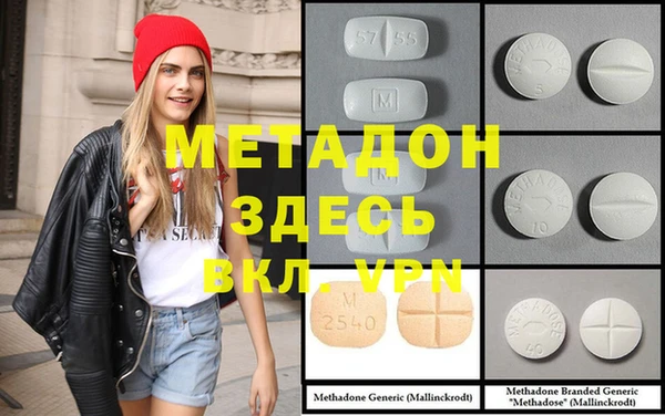 прущие грибы Магадан