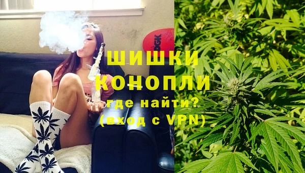 шишки Майский