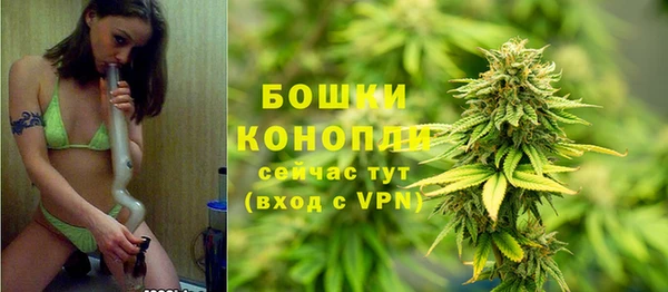 шишки Майский
