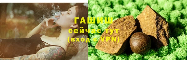 прущие грибы Магадан