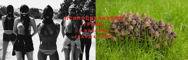 сатива Магас