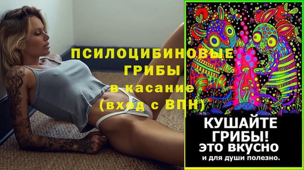шишки Майский