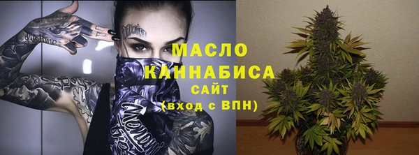 сатива Магас