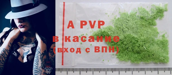 прущие грибы Магадан