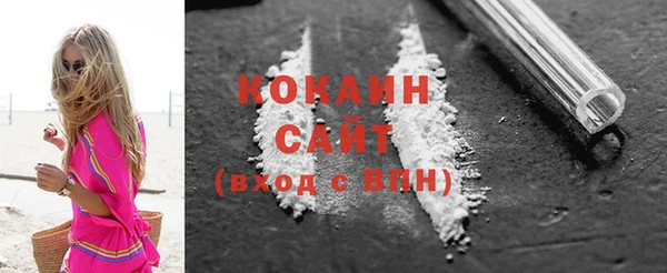 сатива Магас